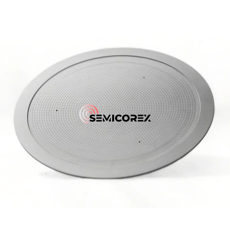 CVD SiC Brusehoveder