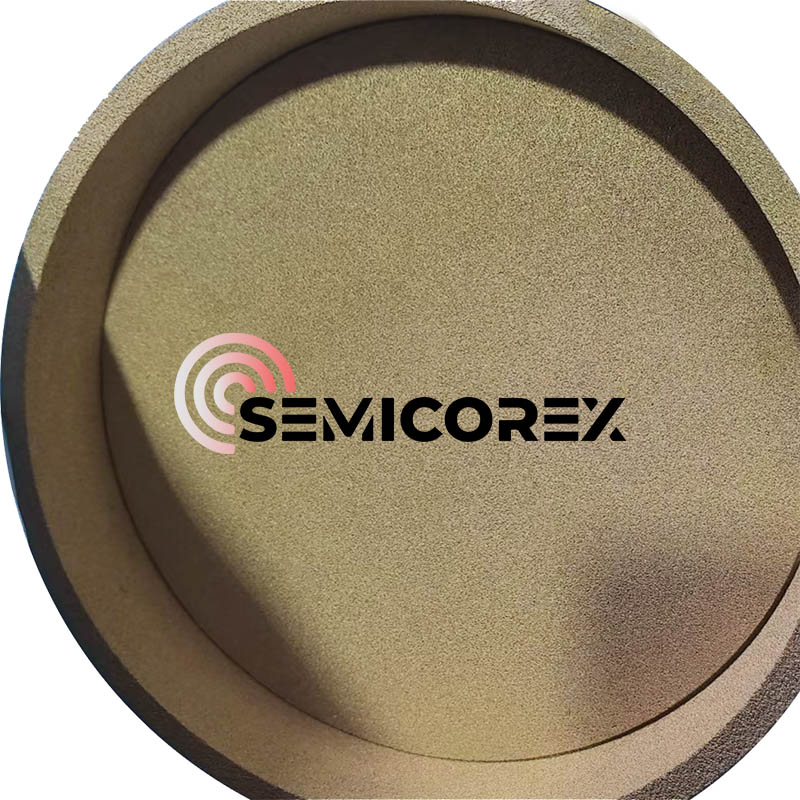 Porøse tantalcarbidringe