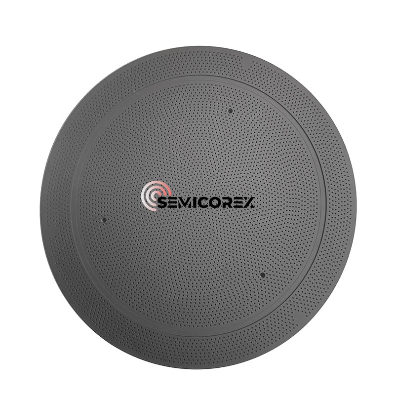 Sic coated wafer -følelser
